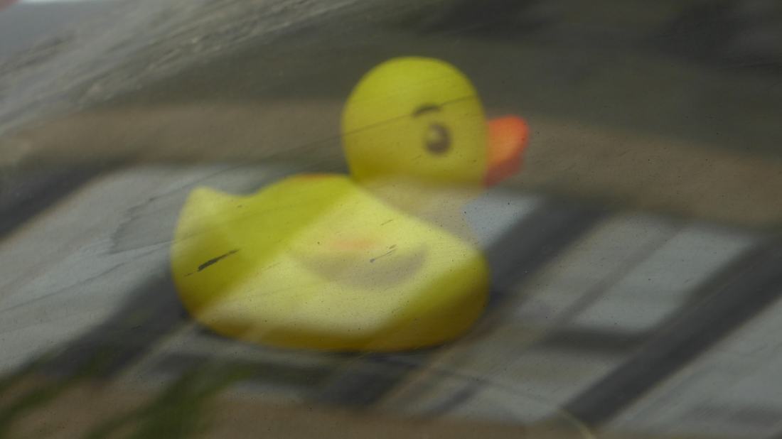 A yellow rubber duck toy